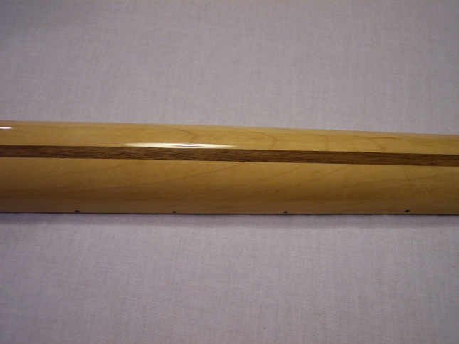 Blacktop Stratocaster HH Picture 6
